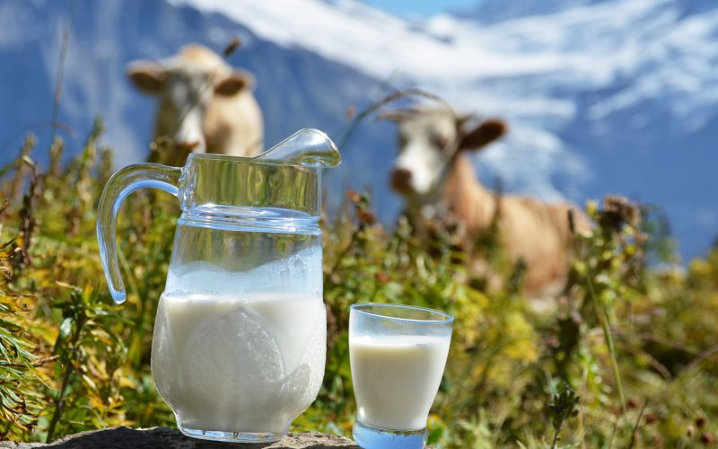 5 продуктов, которые стоит исключить из рациона 5 продуктов, которые стоит исключить из рациона