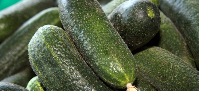 Есть и не толстеть: список продуктов, которые можно есть перед сном Есть и не толстеть: список продуктов, которые можно есть перед сном