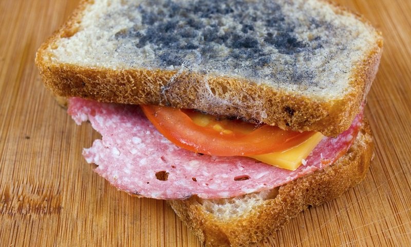 Как избежать плесени на хлебобулочных изделиях? Как избежать плесени на хлебобулочных изделиях?