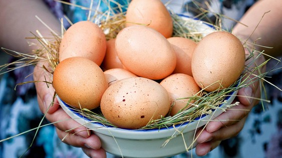 Одно яйцо в день снижает риск инсульта на 12% Одно яйцо в день снижает риск инсульта на 12%