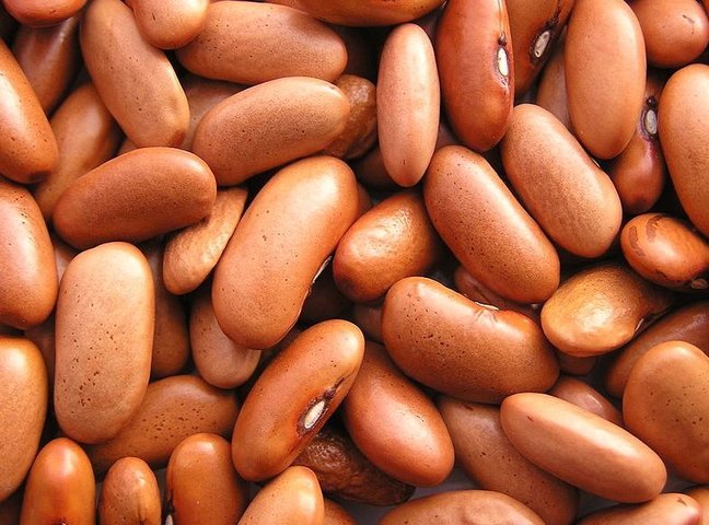 Бобы помогают худеть больше, чем мясо Бобы помогают худеть больше, чем мясо