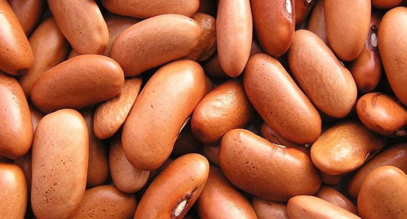 Определен самый доступный продукт для здоровья и долголетия Определен самый доступный продукт для здоровья и долголетия