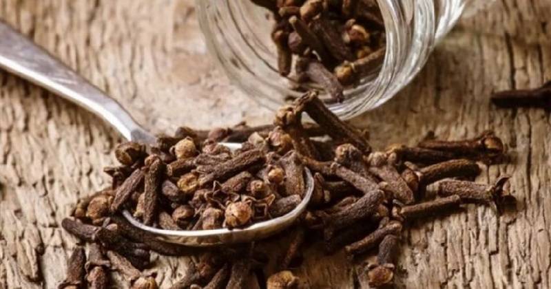 Врачи рассказали, от каких нарушений помогает жевание сушеной гвоздики